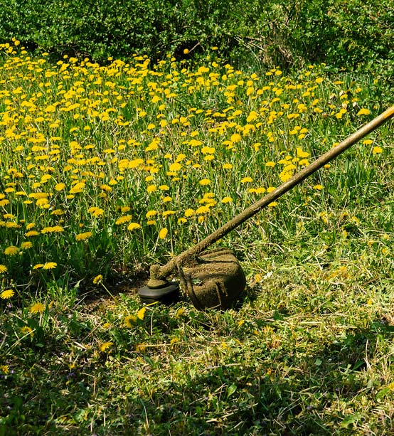 Grounds Clearance Services by DC Grounds Maintenance