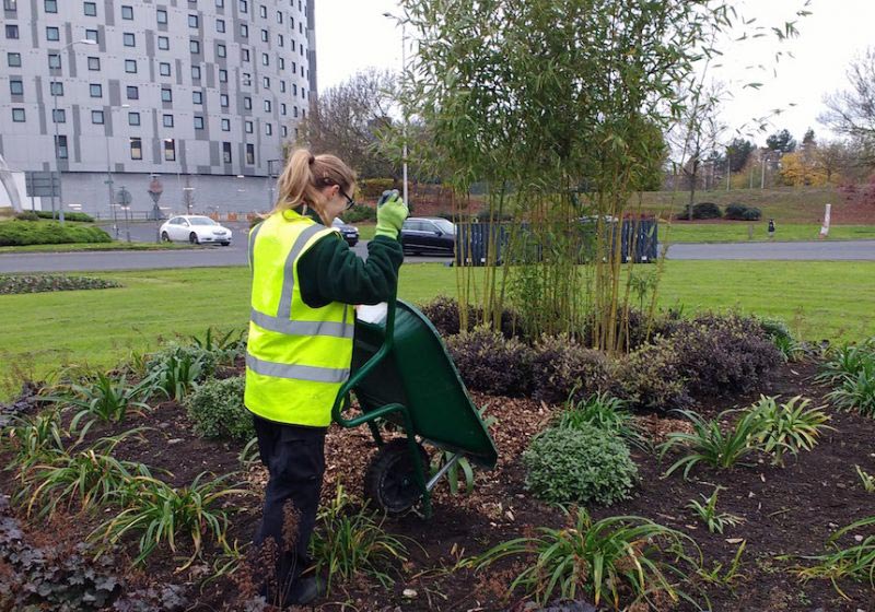 Grounds Maintenance Services UK Wide Service DC Grounds Maintenance